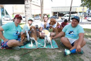 a83d9331-589a-45a6-b6a1-1f71165bb09d