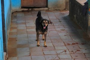 WhatsApp Image 2025-07-11 at 16.54.27 (1)