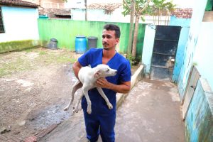 WhatsApp Image 2025-07-11 at 16.54.27 (1)