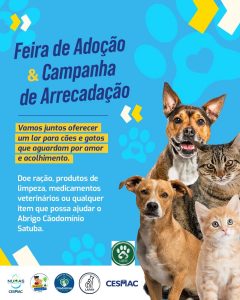 WhatsApp Image 2025-07-29 at 15.45.44