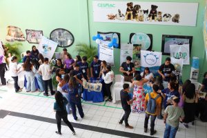 727306b5-1459-40f5-b820-ec95e894207f