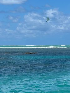 Inscrições abertas para o I Curso de Campo em Ecologia e Sustentabilidade na Costa Nordestina (ECOSTA 2025)